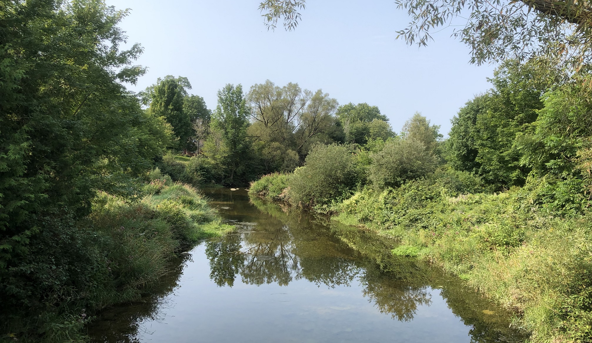 Middle Maitland Restoration Fund – Maitland Valley Conservation Authority