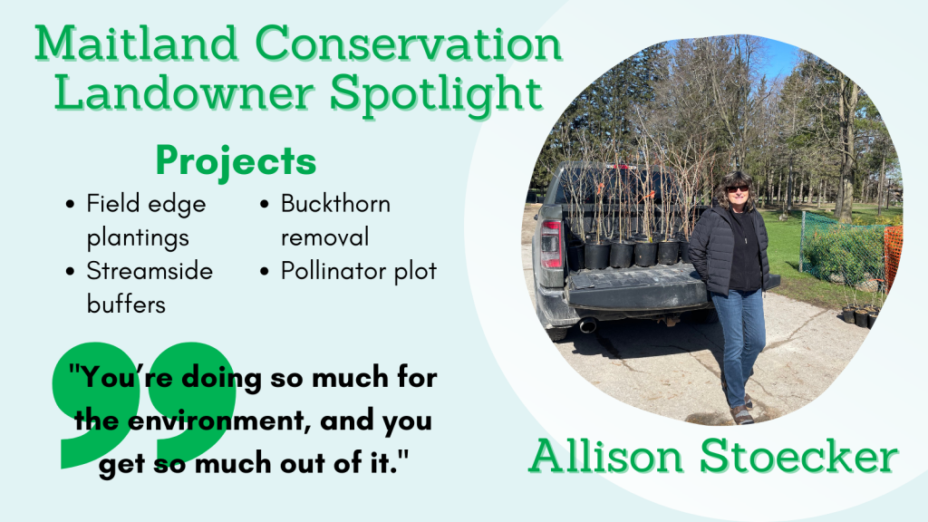 This image is a link to an interview with Allison Stoecker to review field edge plantings, stream buffers, buckthorn removal, and pollinator plots