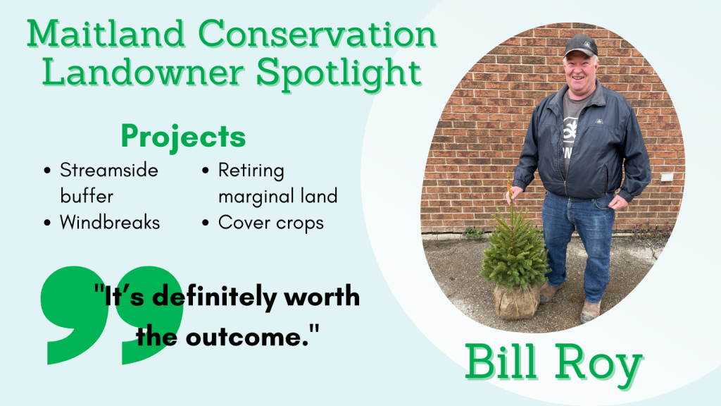 This image is a link to an interview with Bill Roy to review streamside buffers, windbreaks, retinring land, and cover crops