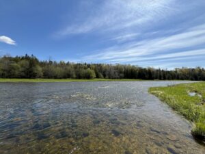 Maitland River at Wawanosh Conservation Park Maitland River at Wawanosh Conservation Park